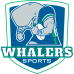 Whalers Sports Hoodie